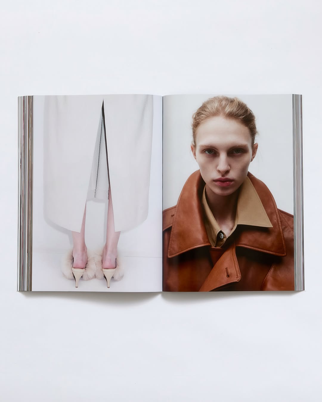 New Bottega |  Oct. 26