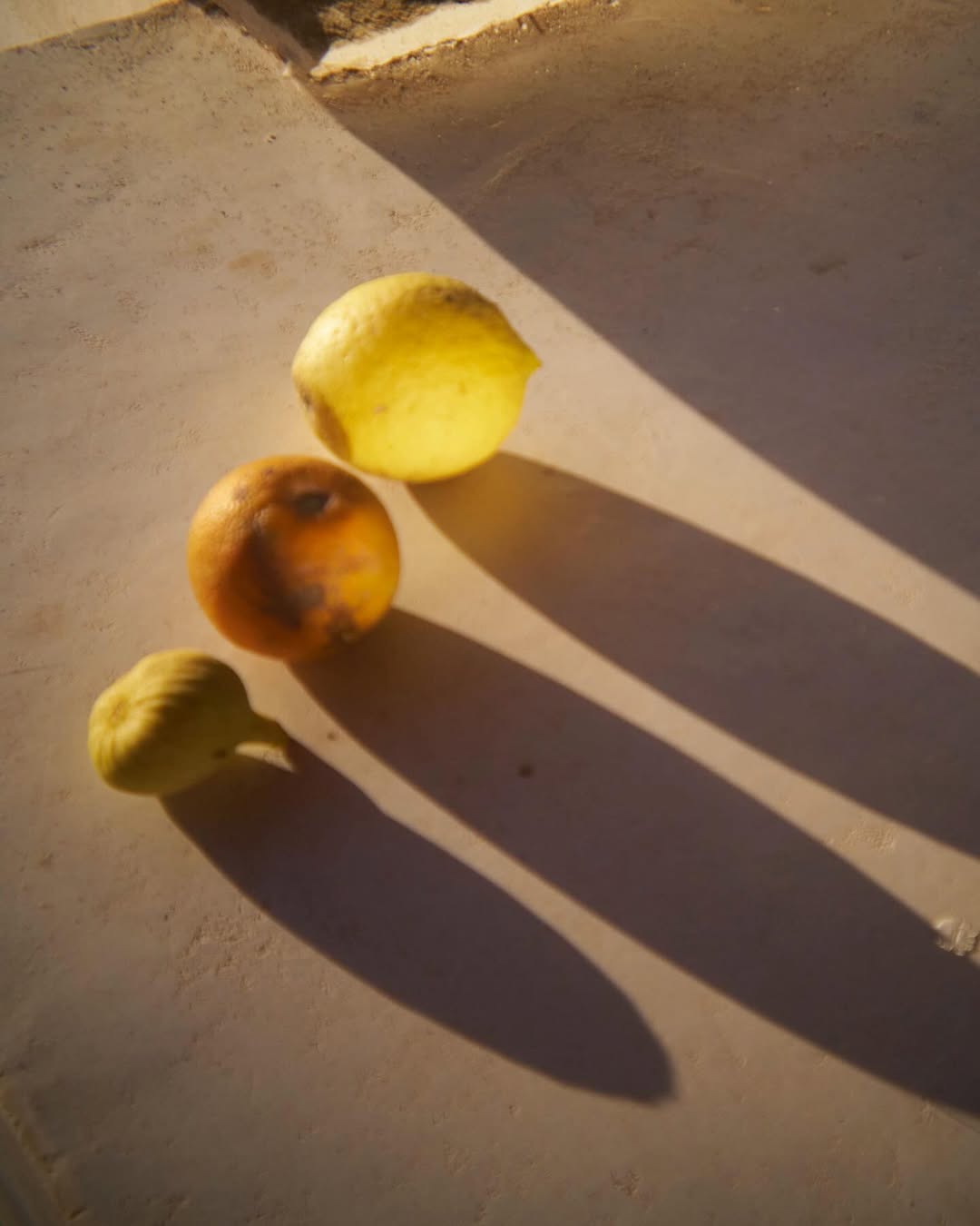 Sue Parkhill Oct. 25