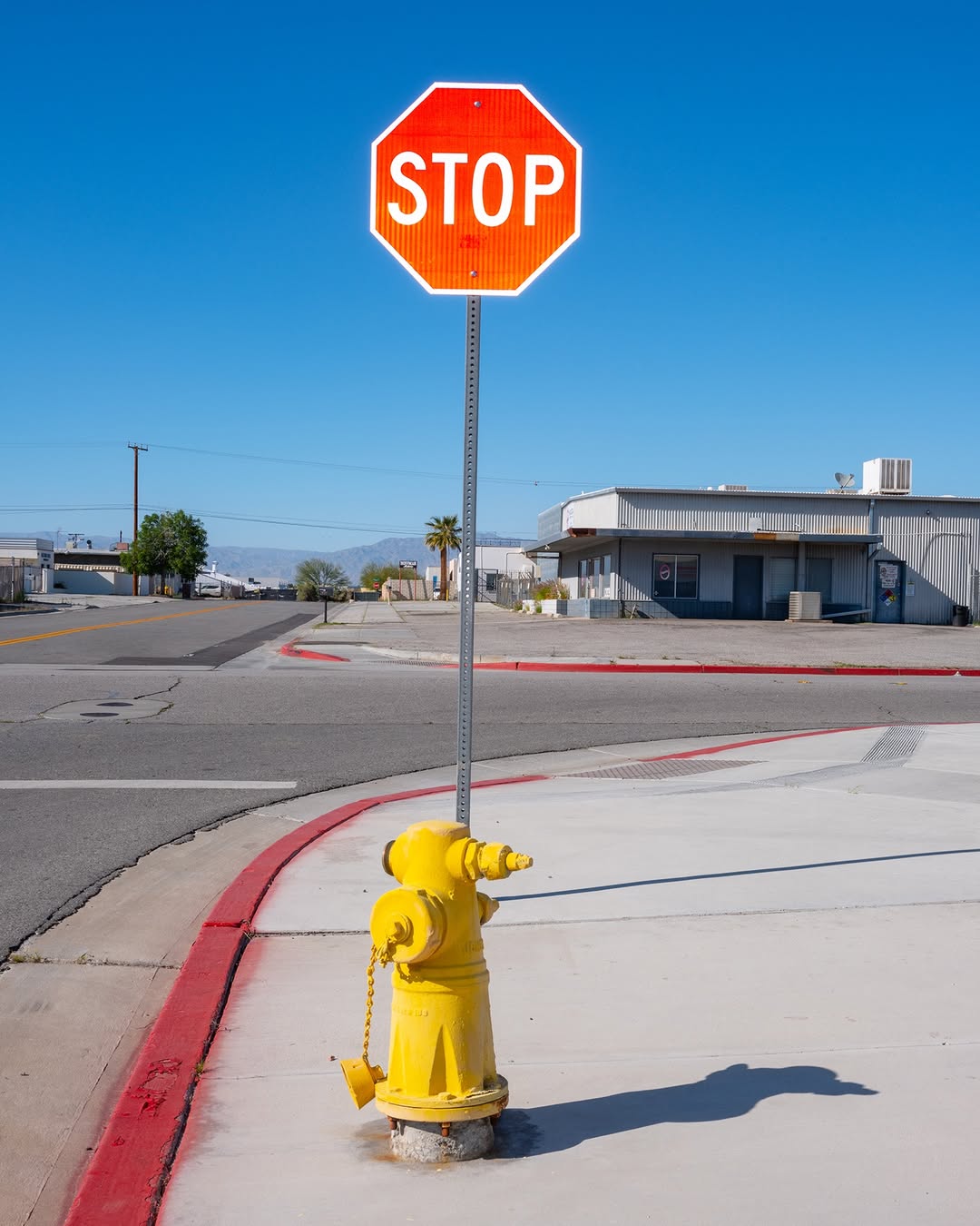 Will Sanders Jan. 26