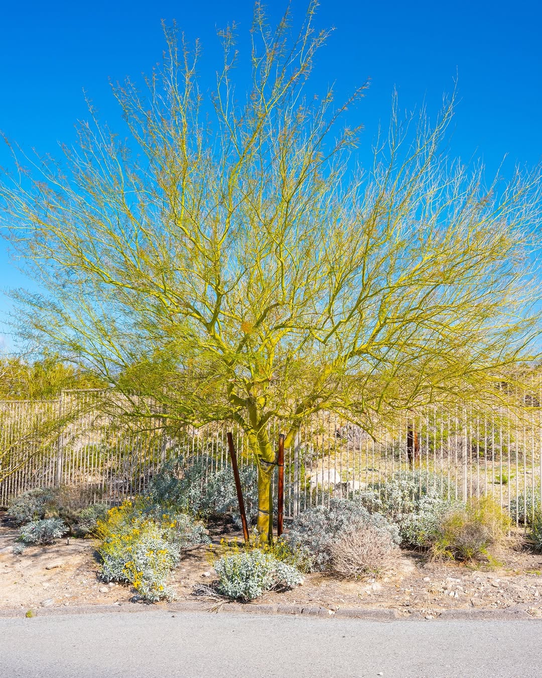 Will Sanders Jan. 26