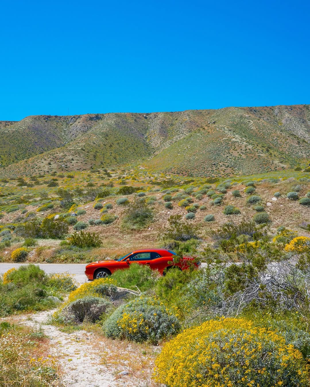 Will Sanders Jan. 26