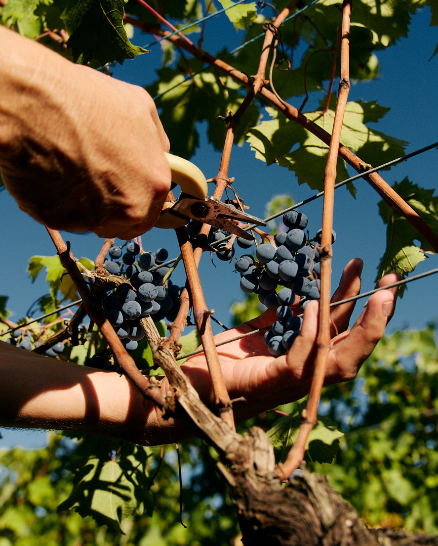 Yoann Stoeckel X grap Feb. 26