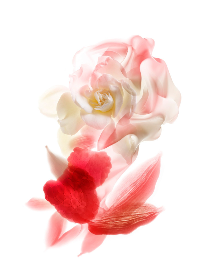 <a href="/cedric-porchez">Cedric Porchez</a> <span style="text-transform: none; white-space: nowrap;">Mar. 26</span>