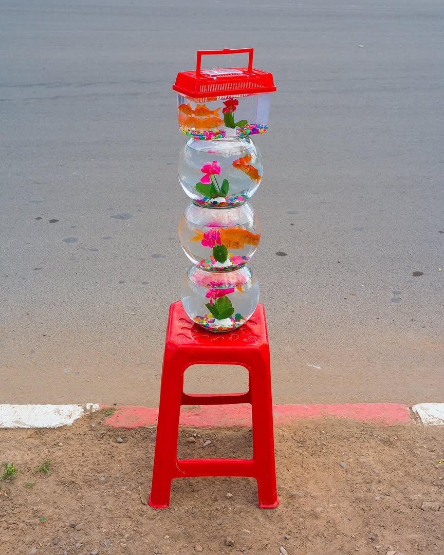 <a href="/will-sanders">Will Sanders</a> <span style="text-transform: none; white-space: nowrap;">Mar. 26</span>