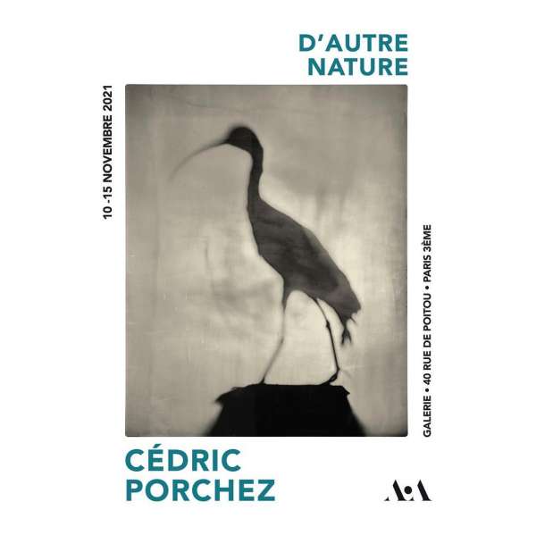 Cedric Porchez