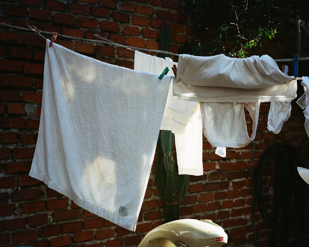 Vera Prego