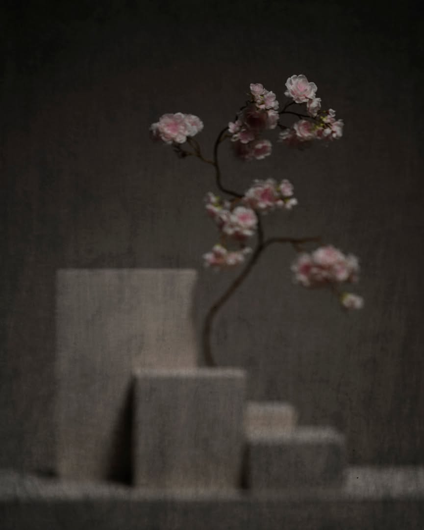 Cedric Porchez Nov. 25