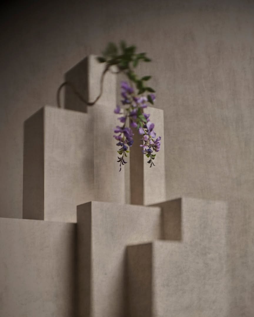 Cedric Porchez Nov. 25