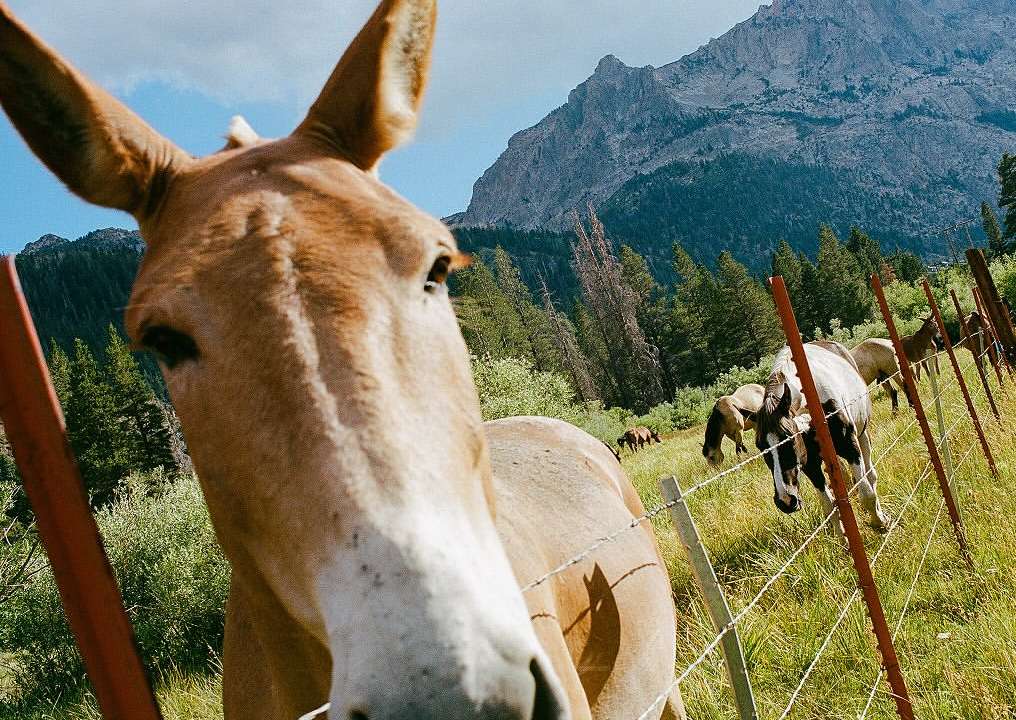 Brian Chorski Oct. 25