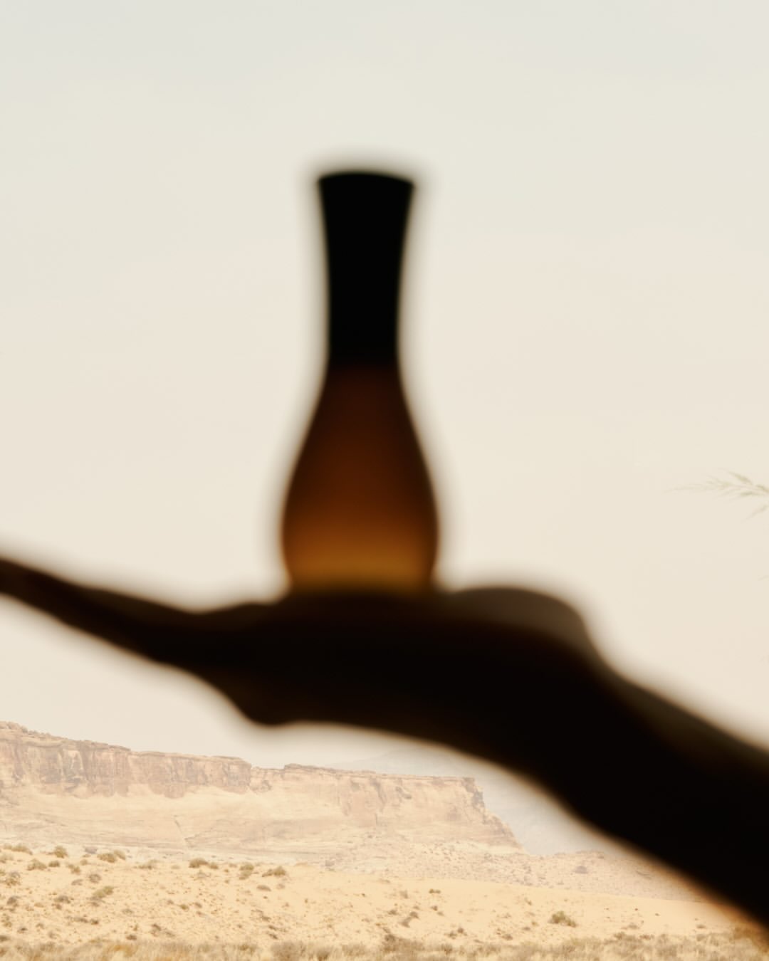 Joe Perri X The Official Aman Shop Nov. 25