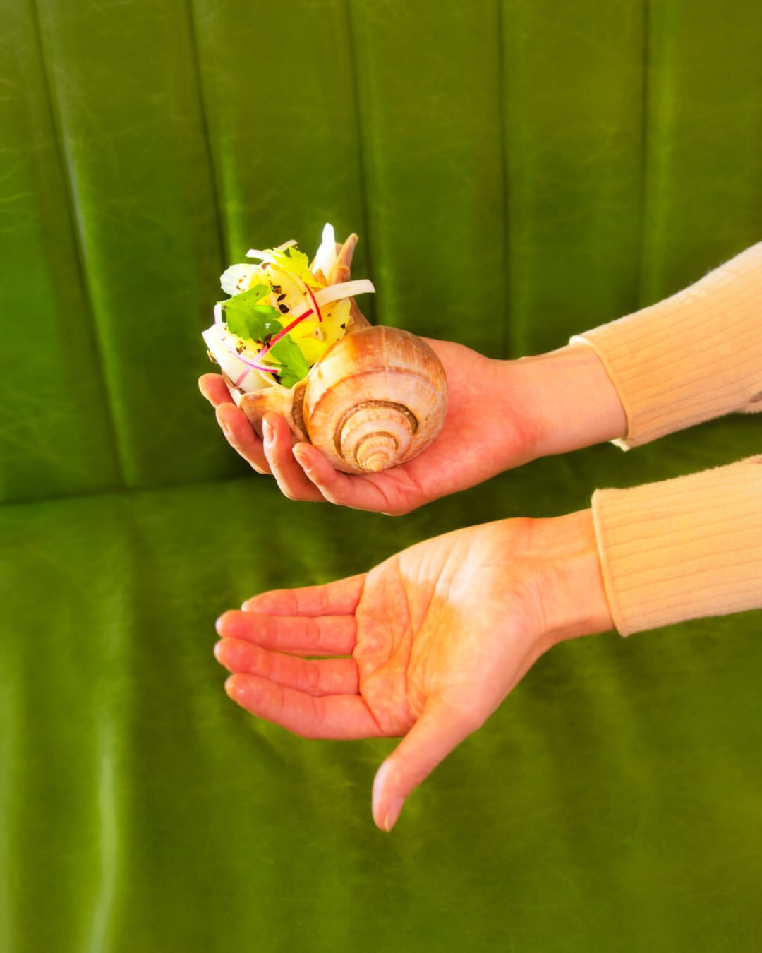 Tonje Thilesen X The New Yorker Jan. 26