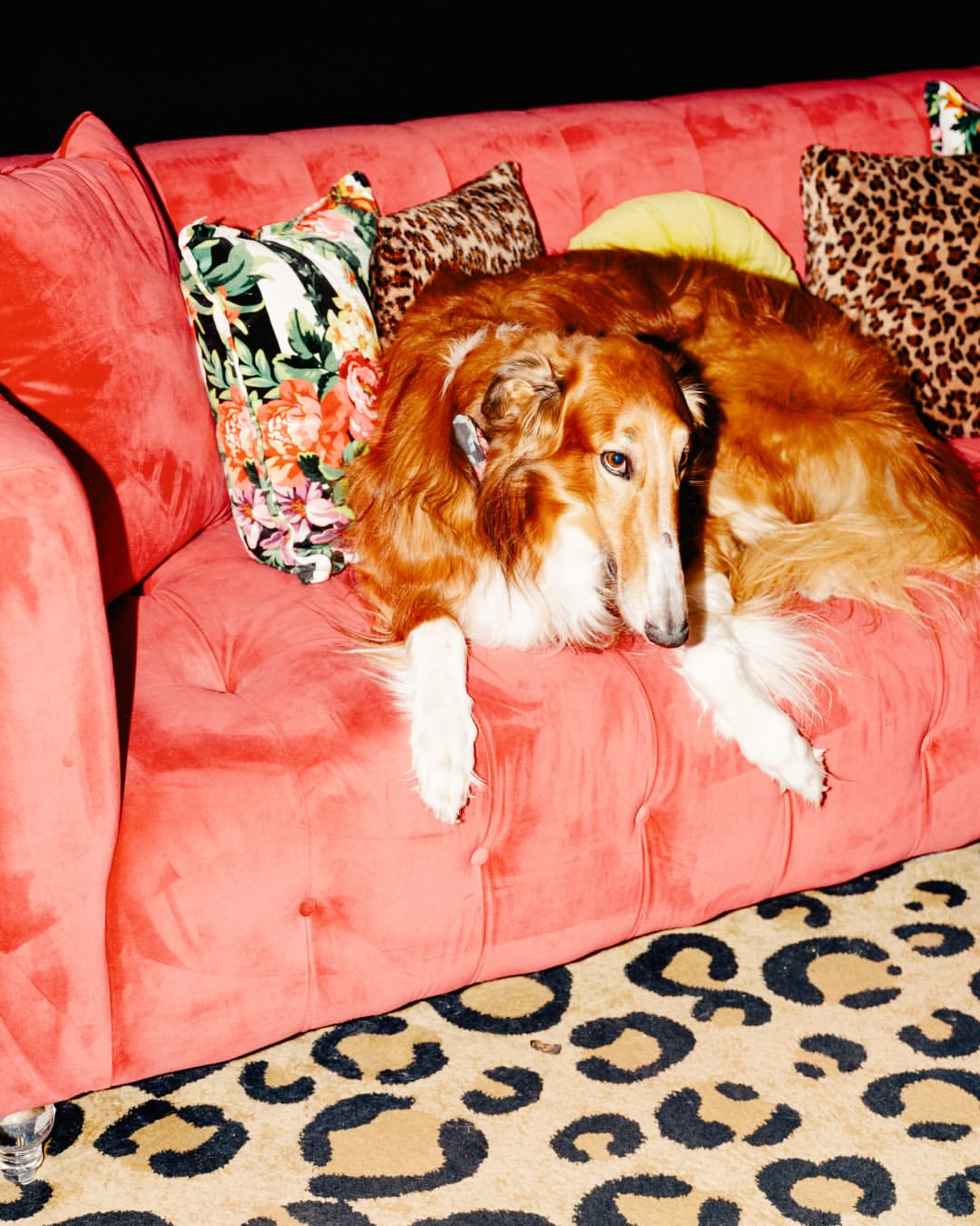 Daniel Dorsa X Dwell Mar. 26