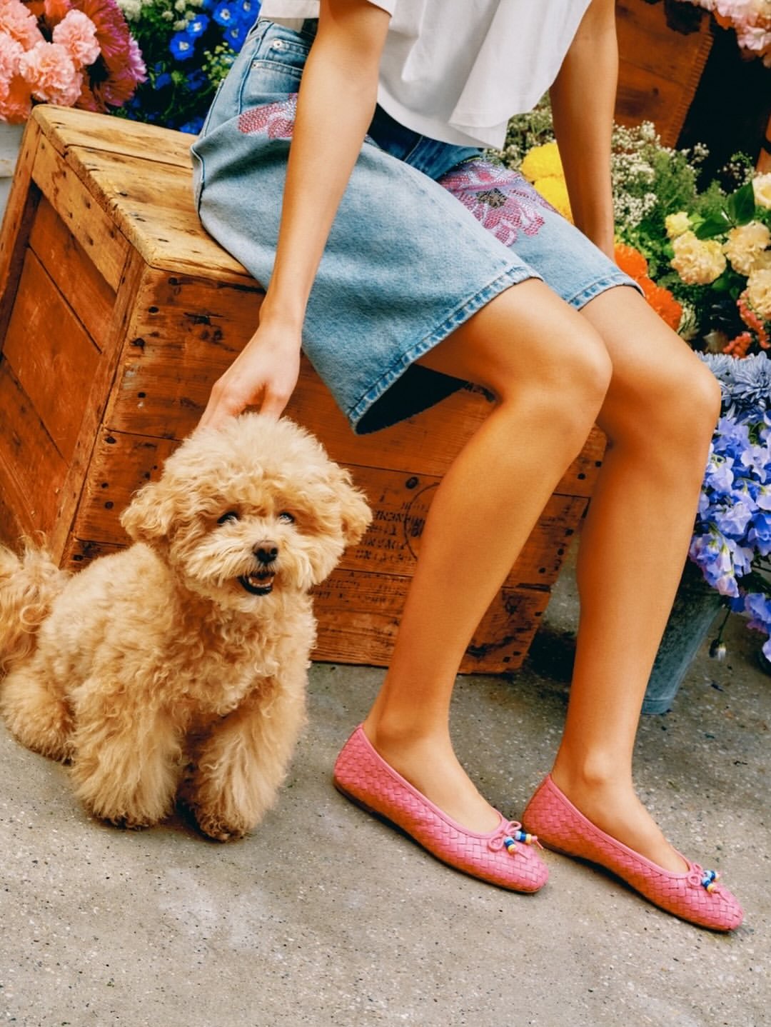 Steve Madden |  Mar. 26