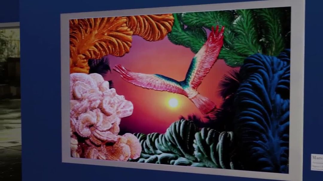 Ministry Of Nomads |  Aug. 20