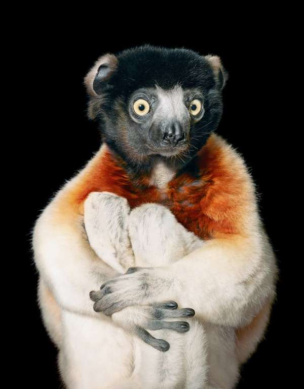 Tim Flach
