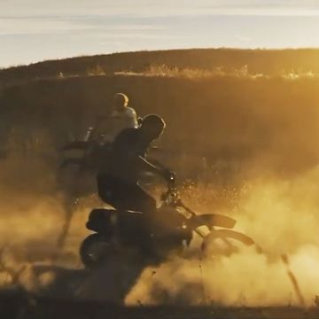 Sauce Leopard |  Nov. 21