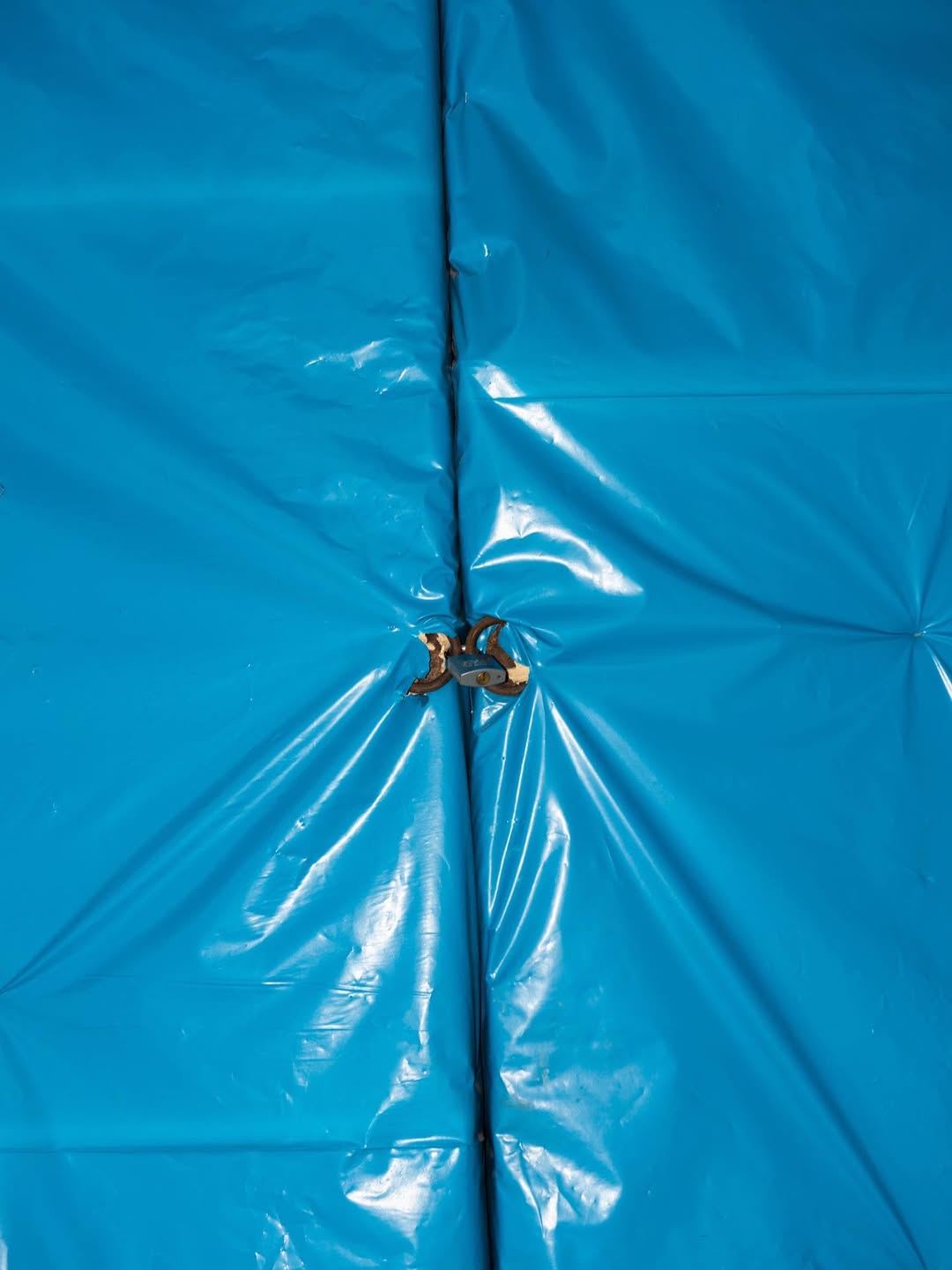 Laurie Basset X Bottega Veneta Oct. 25