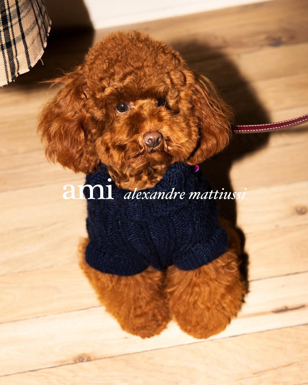 Laurie Basset X Ami Dec. 25