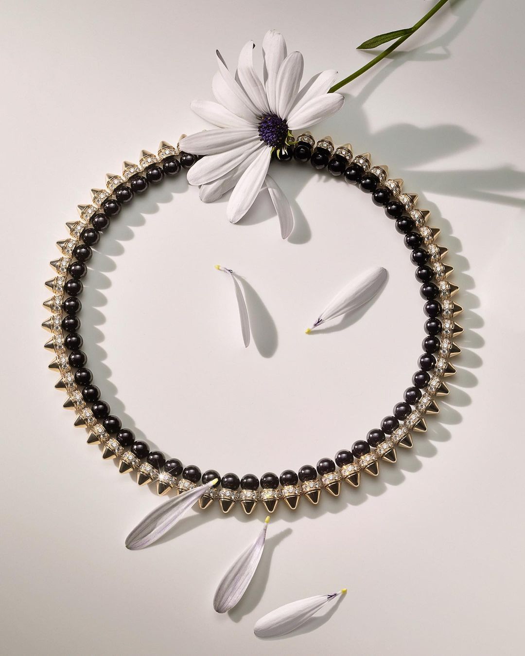 Wonderland |  Jan. 23