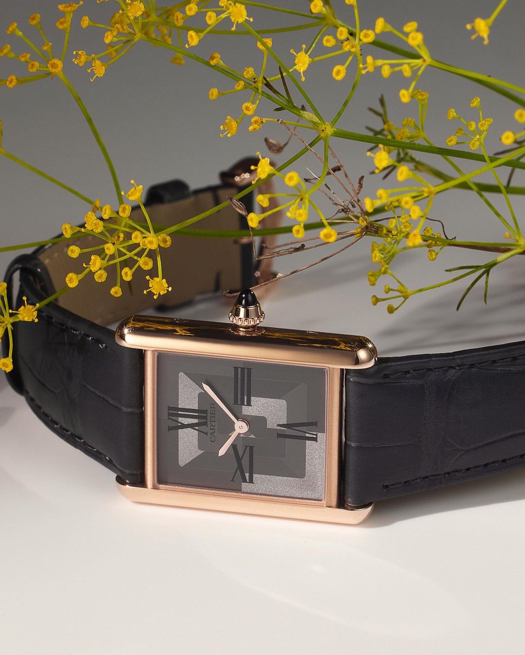 Wonderland |  Jan. 23