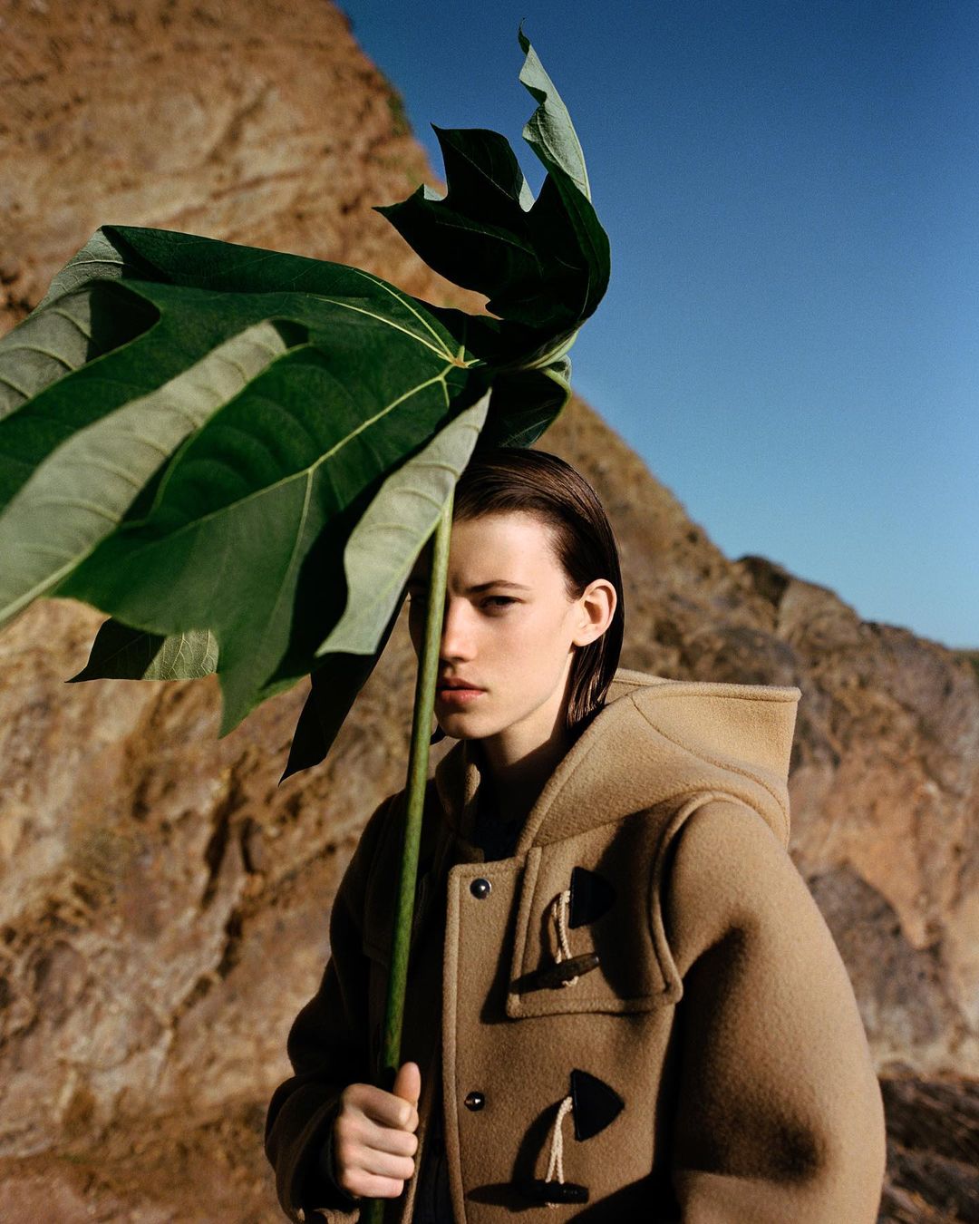 Document Journal |  Nov. 23