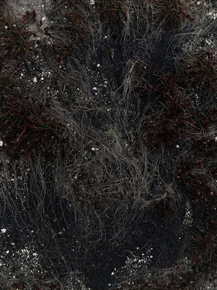 Bérengère Valognes Nov. 25