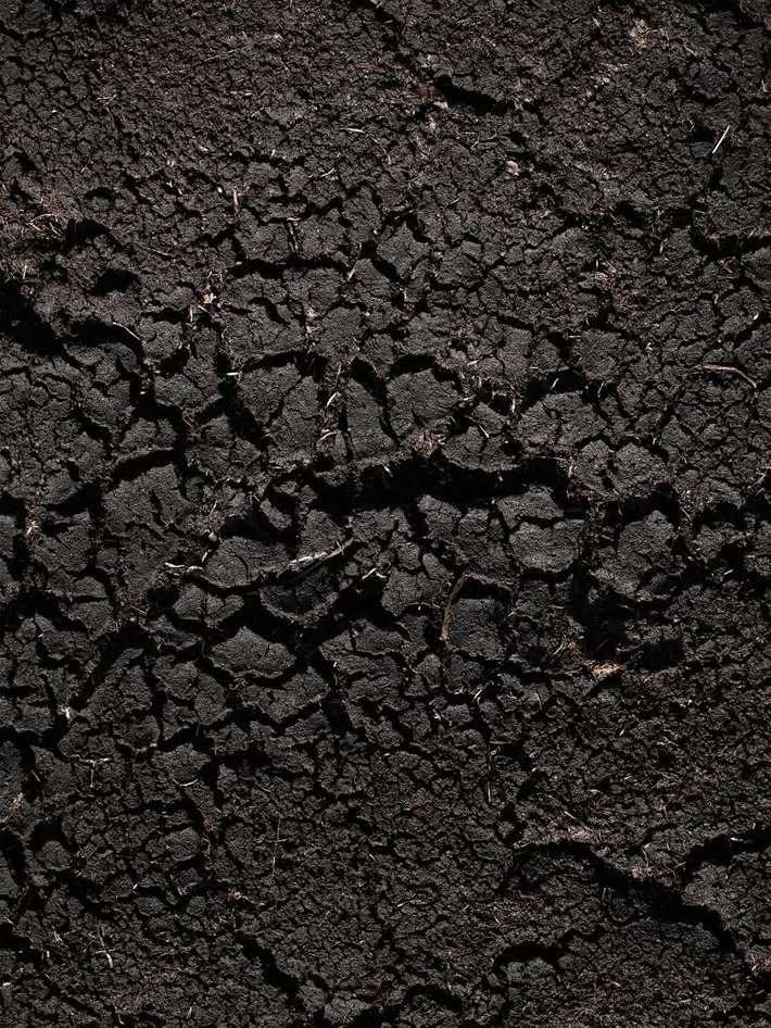 Bérengère Valognes Nov. 25