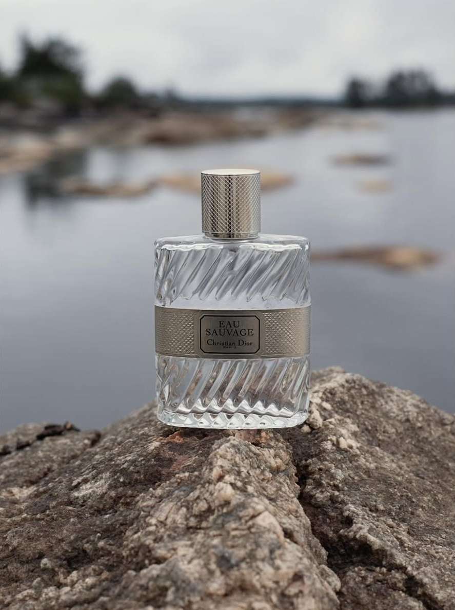 Bérengère Valognes