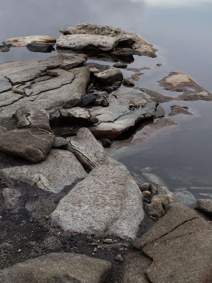 Bérengère Valognes