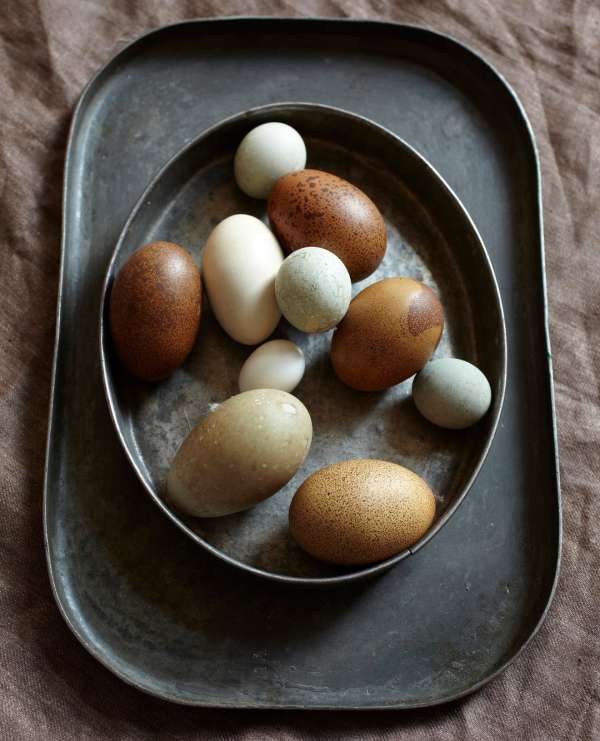 Beth Galton
