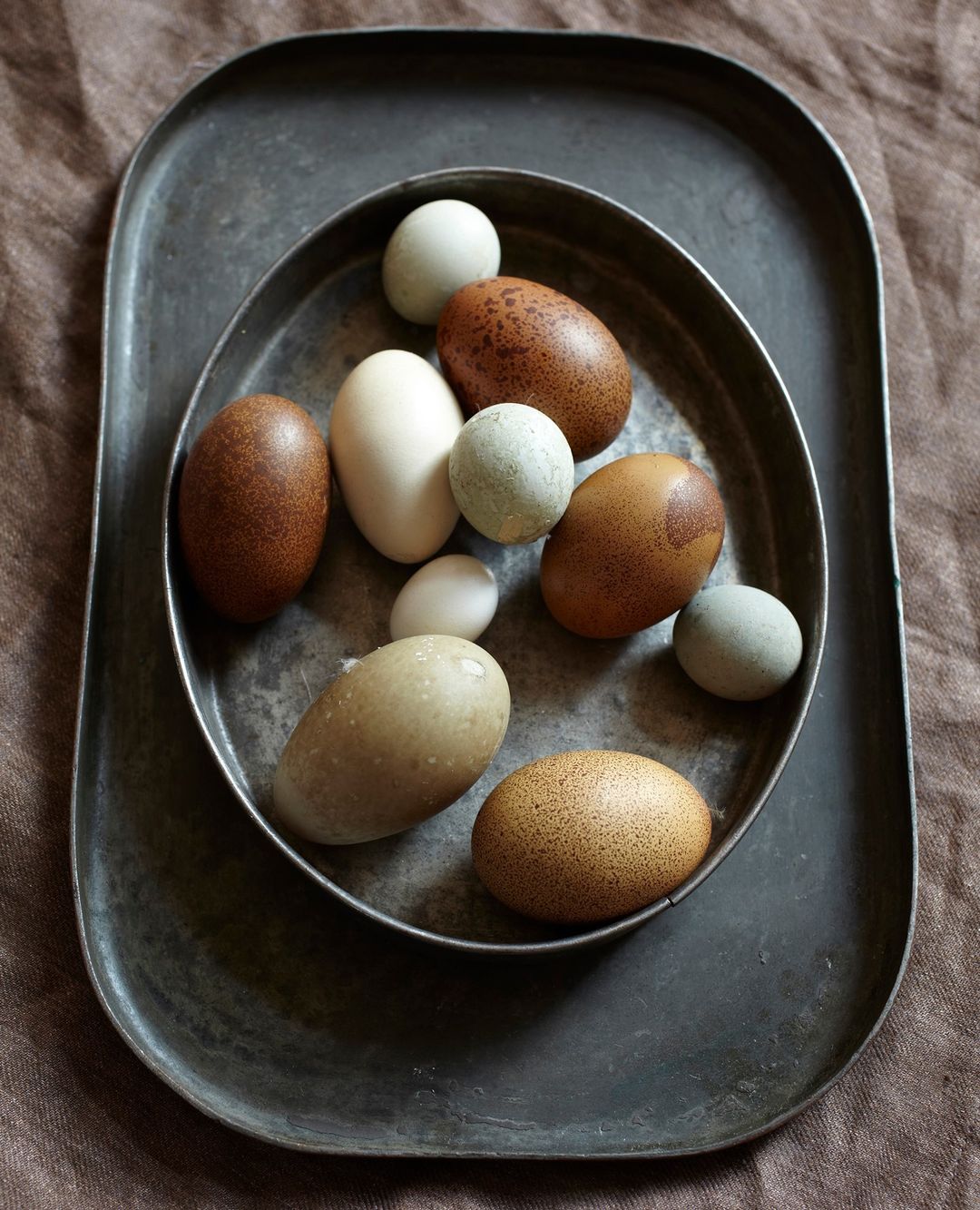 Beth Galton