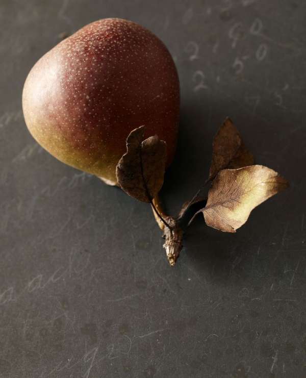 Beth Galton