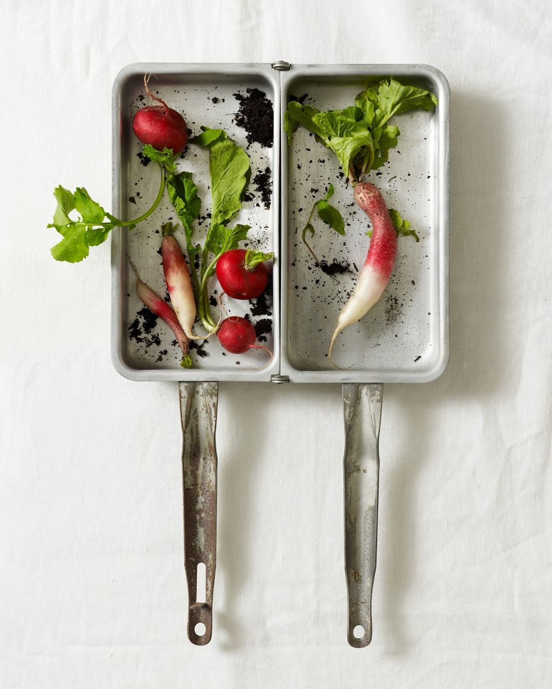 Beth Galton