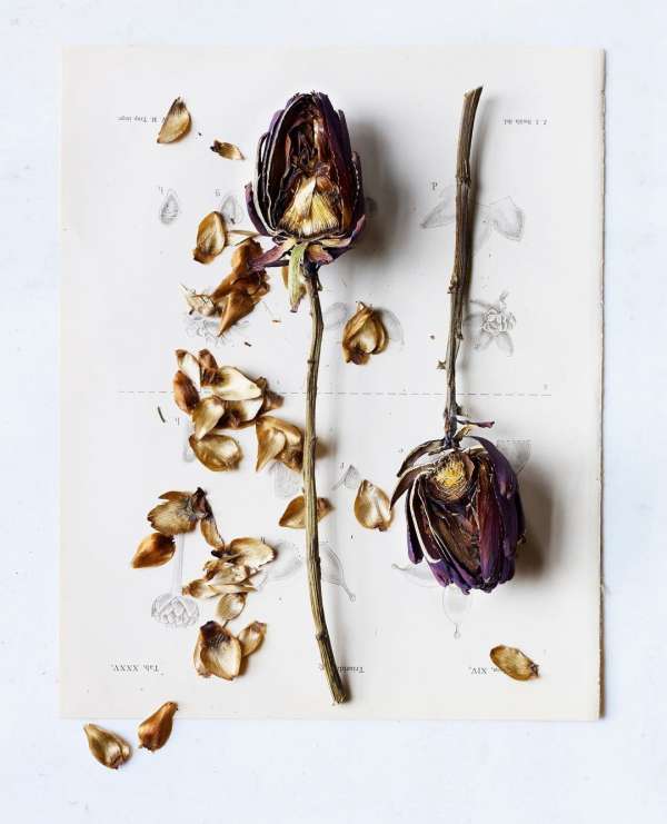 Beth Galton