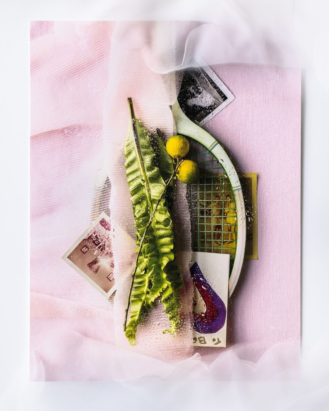 Beth Galton