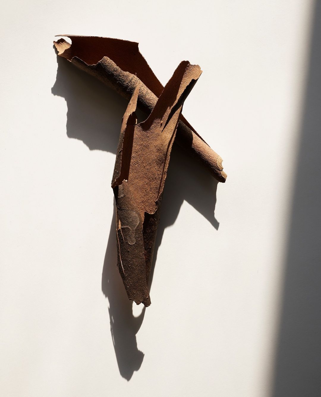 Beth Galton