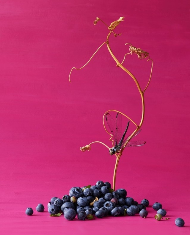 Beth Galton