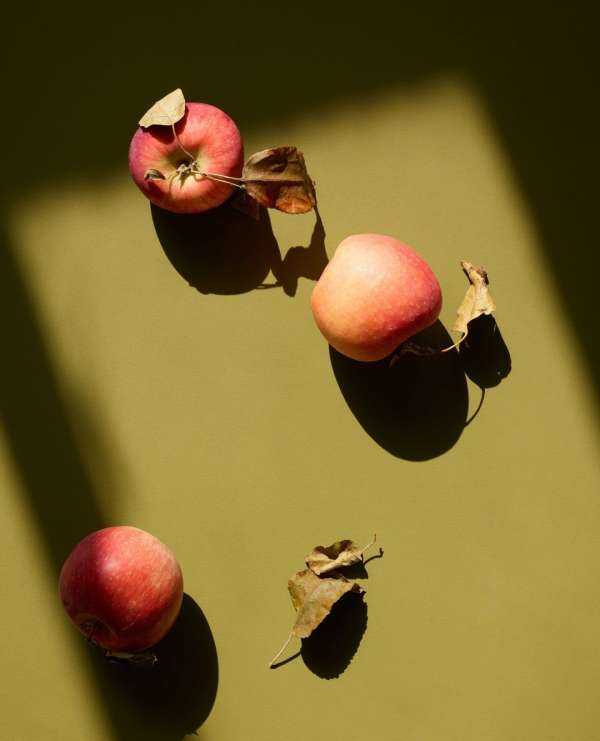 Beth Galton