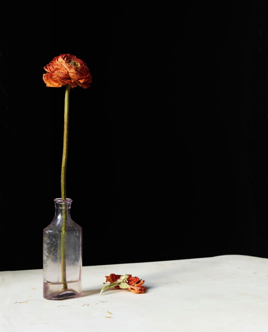 Beth Galton