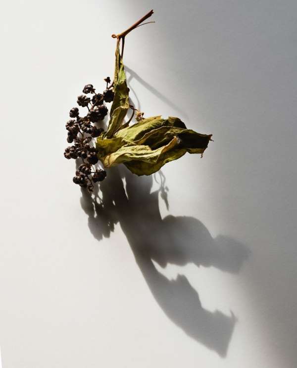 Beth Galton