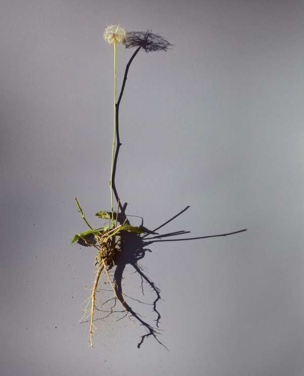 Beth Galton