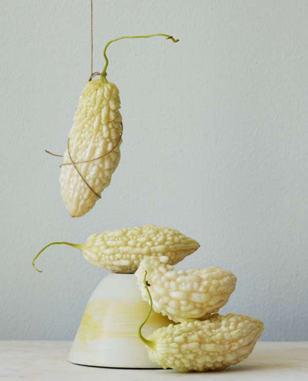 Beth Galton