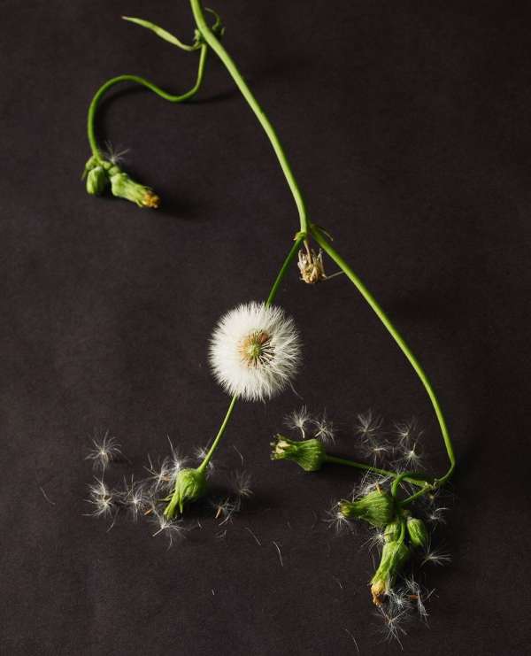 Beth Galton