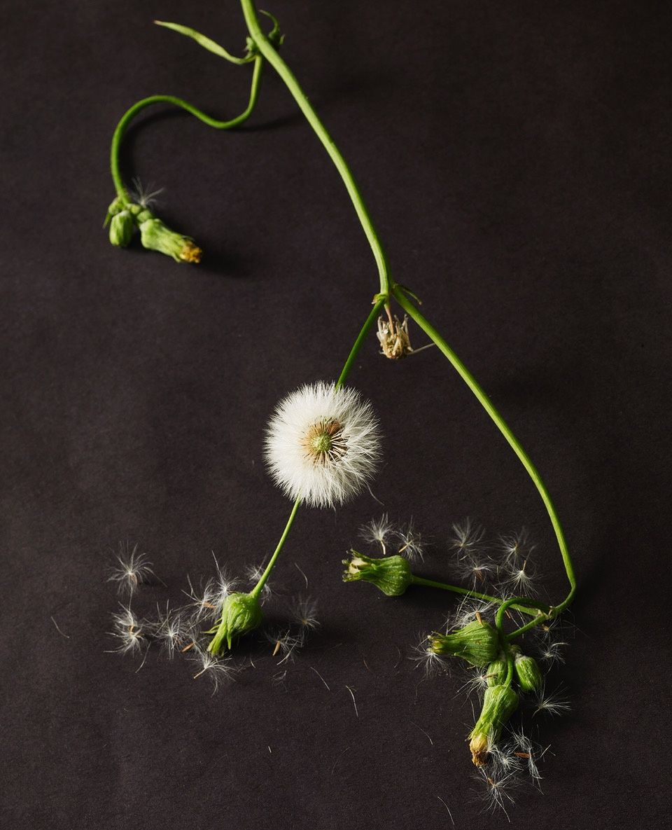 Beth Galton