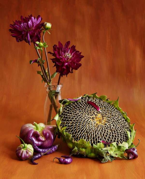 Beth Galton