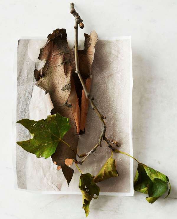 Beth Galton