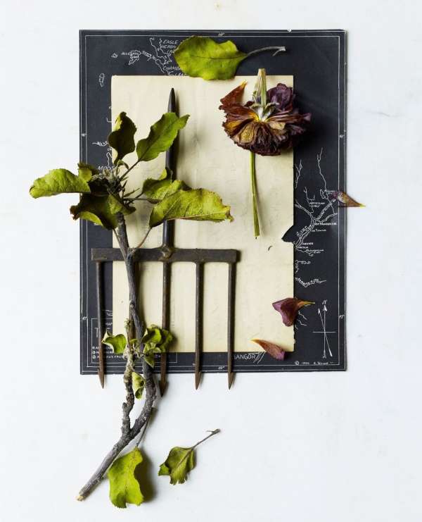 Beth Galton