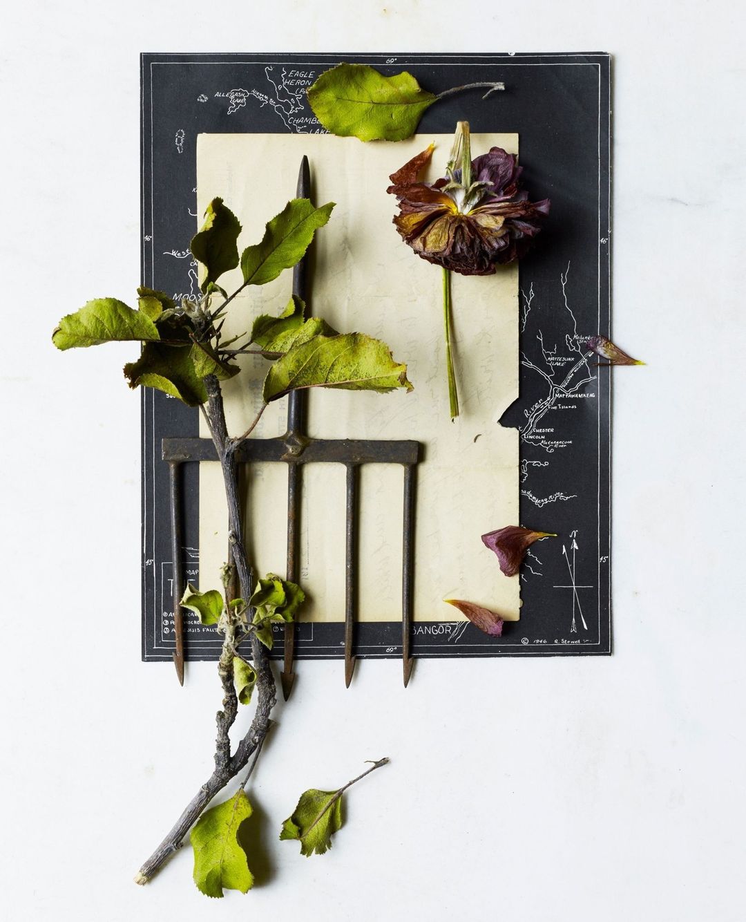 Beth Galton