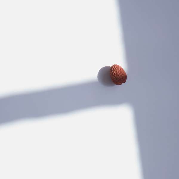 Beth Galton