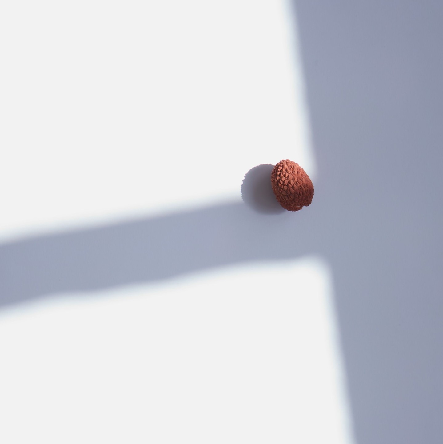 Beth Galton